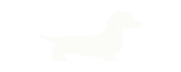 Salchi Studios